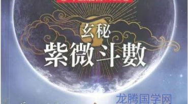 丘宗鸿 玄秘紫微斗数之命理字典八千招