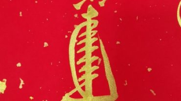 清远老师 形派风水 26集视频课+课件