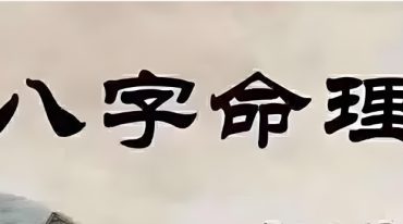 段建业 段氏命理弟子班案例集330页.pdf