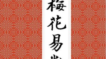 秦根霖 梅花易数