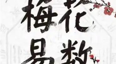 了一 梅花易数内训