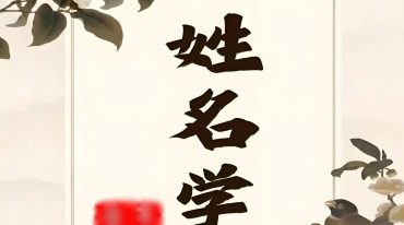练己者天选姓名学