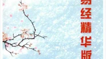 生辰数字立卦 数字算命 数字八字 数字易经精华版 392页.pdf