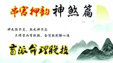 孙真坤 串宫押韵命理绝技 神煞篇 176页