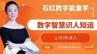 石红数字能量学实际案例分享视频199集