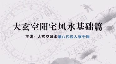 蔡于阳 大玄空风水终极版 11集