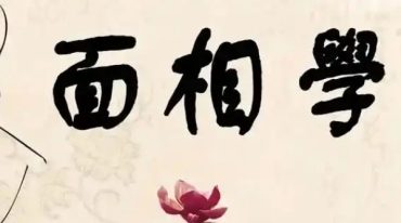 面相学细微对比图示