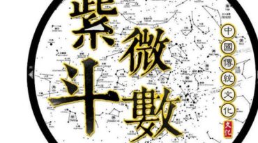书嗣阅紫微斗数高级会员课程35集视频