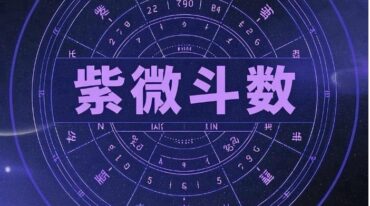 洛元 紫微斗数感情专题课